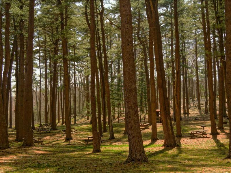 sudoku valid solution screenshot 1