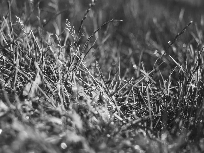 sudoku timer mode screenshot 2